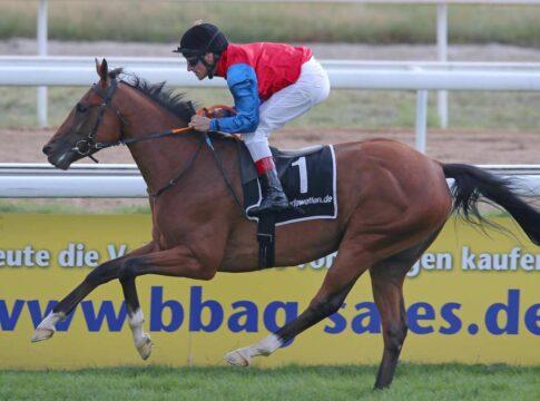 Aemilianus in den Farben des Gestüts Schlenderhan