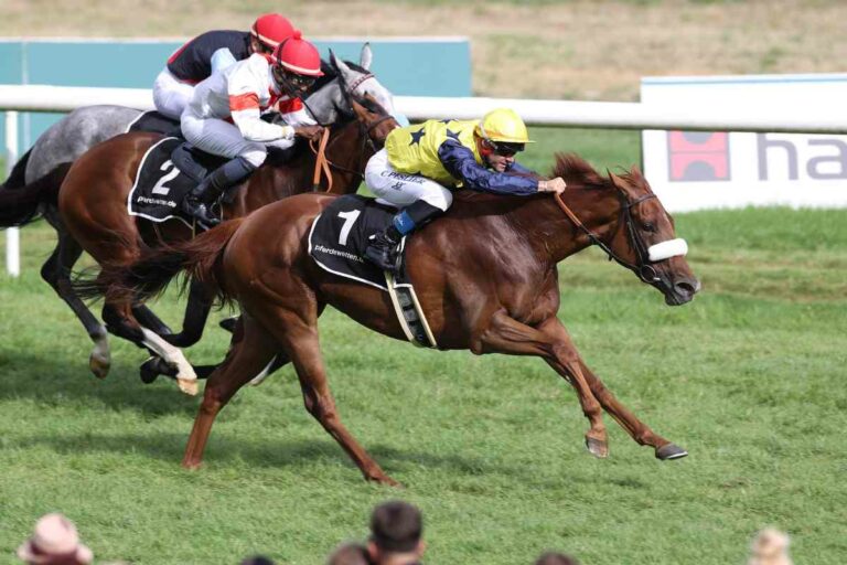 Amazing Grace auf Gr II-Ebene platziert, Fearless King-Schwester vorne