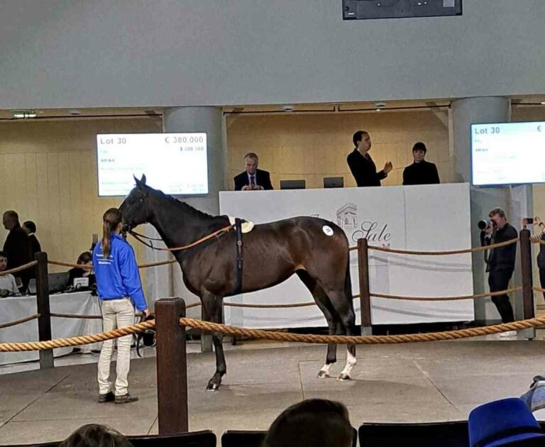 Auenqueller Zuschläge: 380.000 und 260.000