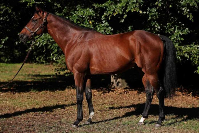 Best Solution Best Solution