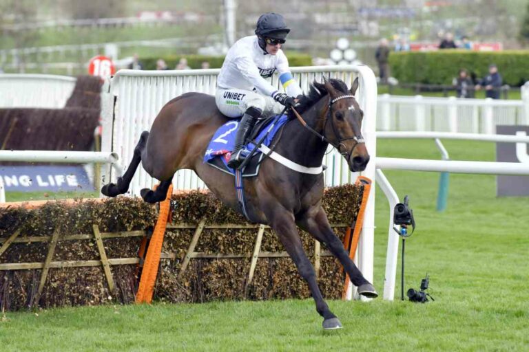 Constitution Hill (Archiv) Foto: Sorge