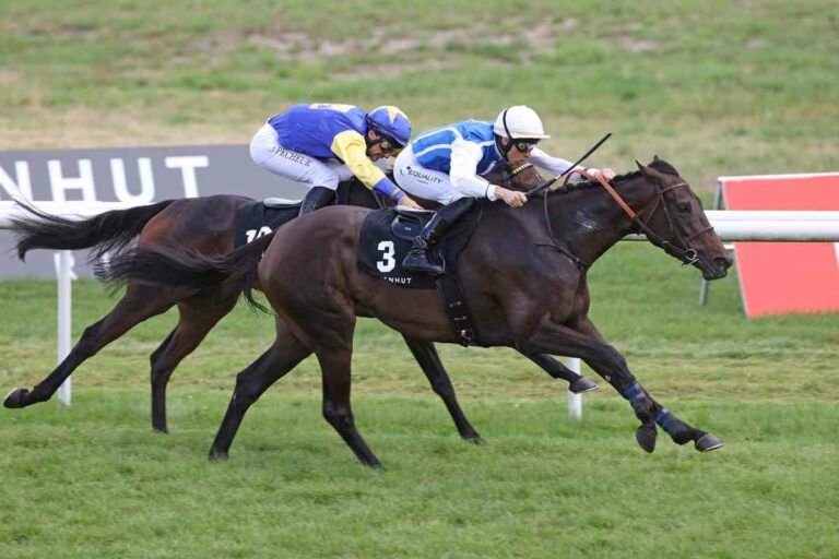 Copie gewinnt Wackenhut Mercedes Benz Fillies Cup