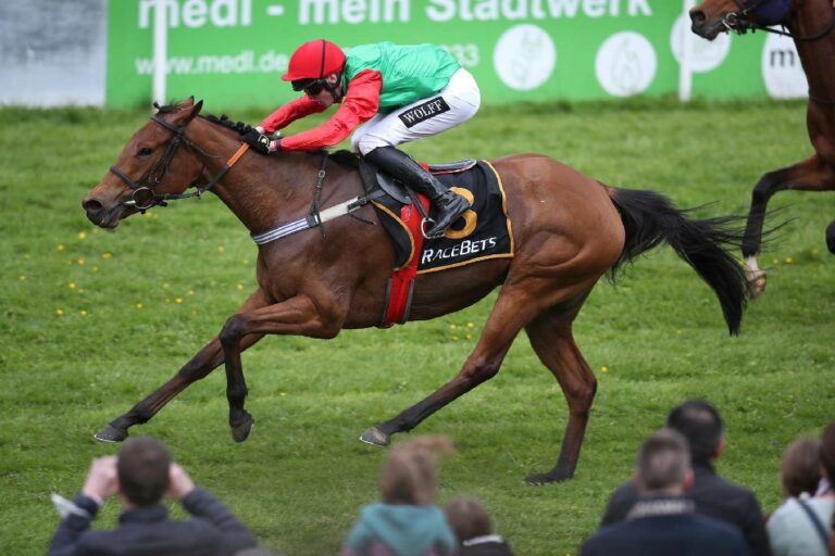 Das C-Rennen: Crocus lässt Holland jubeln