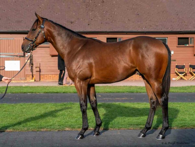 Sea The Moon ad Pearly Spirit (Foto: Tattersalls)