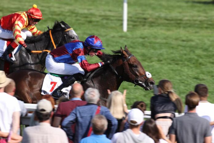 Dubawi Legend gewinnt die Goldene Peitsche Dubawi Legend gewinnt die Goldene Peitsche