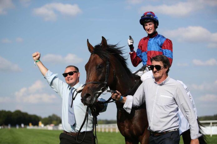 Dubawi Legend ist einer von jetzt 250 Dubawi Legend ist einer von jetzt 250