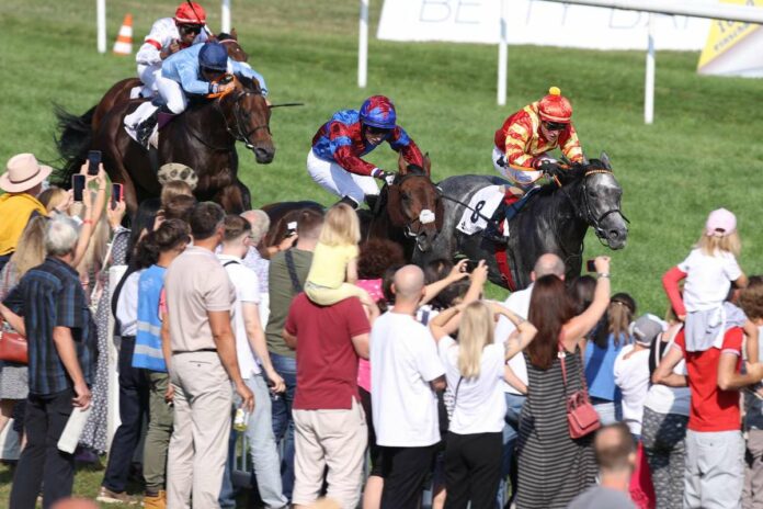 dubawi_legend_2