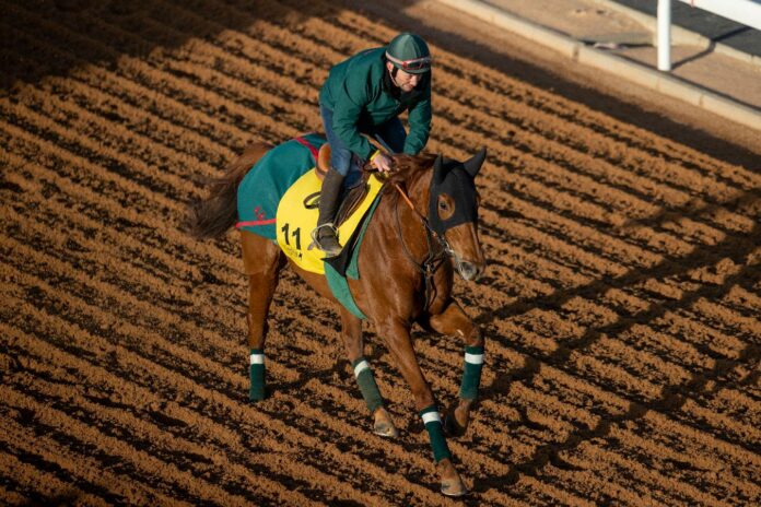 Ebaiyra (Jockey Club of Saudi Arabia)