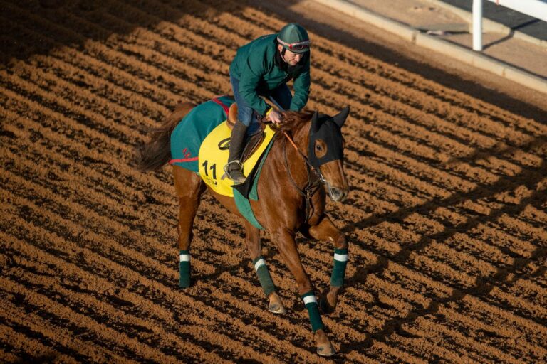 Ebaiyra (Jockey Club of Saudi Arabia)