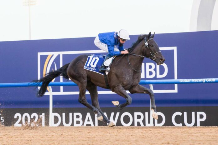 Rebel's Romance Foto: Dubai Racing Club