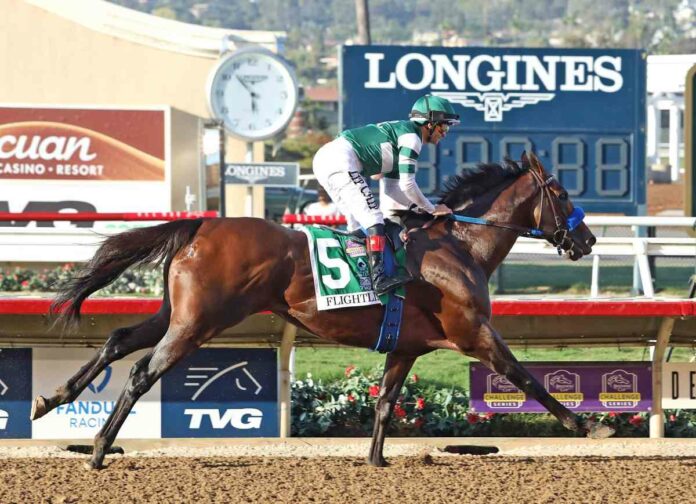 Flightline (Emily Shields) Flightline (Emily Shields)