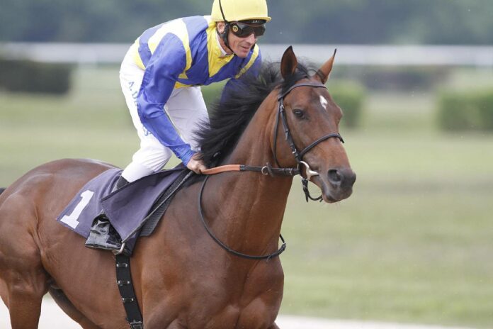 Getaway in den Ullmann-Farben