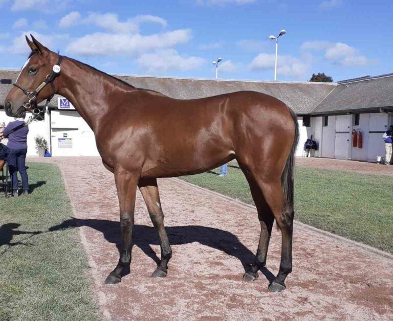 Die Gleneagles-Tochter von Liberty Racing