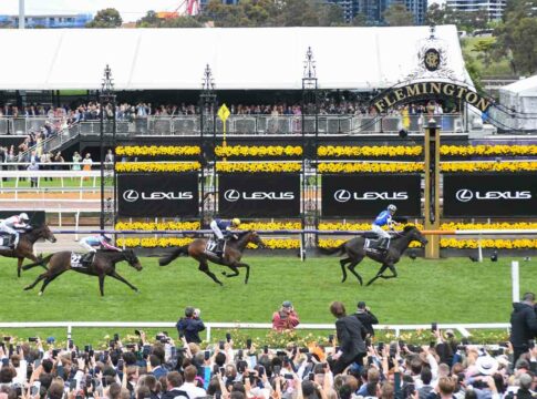 Erstes Fohlen für Melbourne Cup-Sieger Gold Trip Foto: racingphotos.com