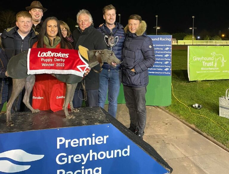 Greyhound-Derby: Faust und Vogt triumphieren