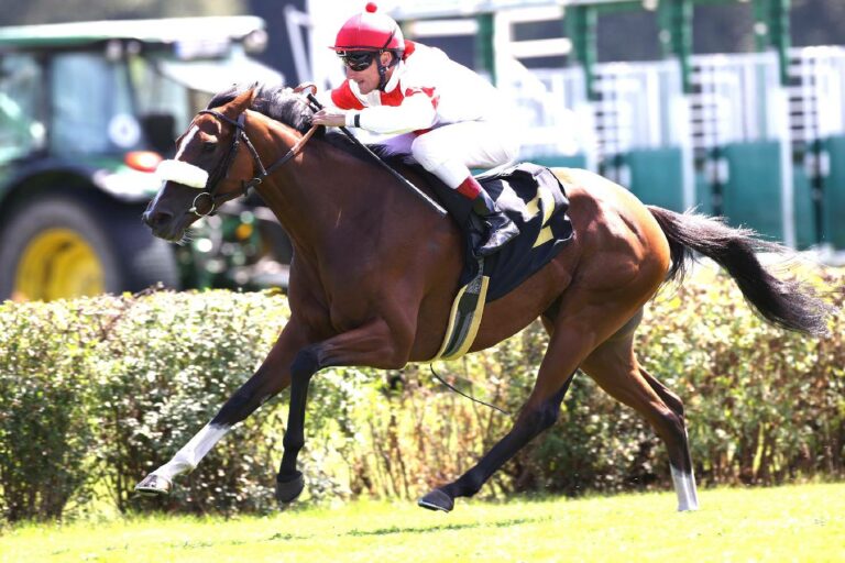 India gewinnt den Prix Allez France India gewinnt den Prix Allez France