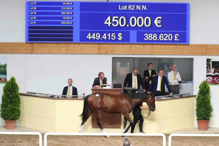 450.000 Euro für Fährhofer Kingman-Sohn!