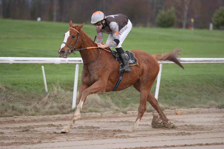 Lord Of The Alps mit starkem Weißmeier-Debüt Lord Of The Alps mit starkem Weißmeier-Debüt
