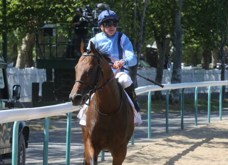 Namos nach dem Prix Maurice de Gheest