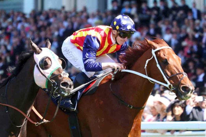 Nature Strip Foto: Sorge Nature Strip Foto: Sorge