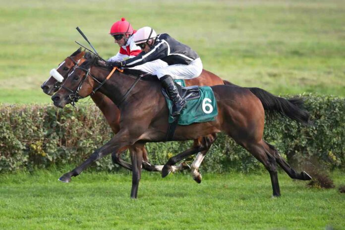 Petit Marin (Nr.6) gewinnt den Preis der Deutschen Einheit 2022 gegen India