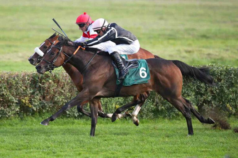 Petit Marin (Nr.6) gewinnt den Preis der Deutschen Einheit 2022 gegen India