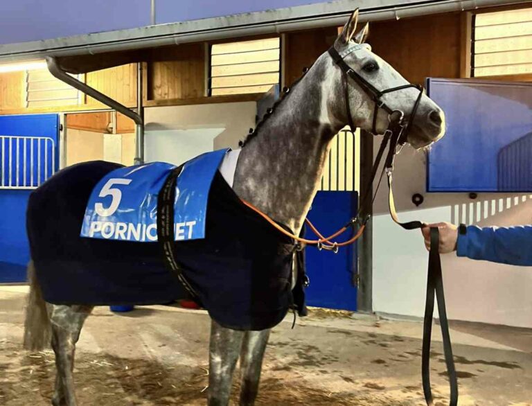 Schimmel Philippe’s Grey gewinnt für Weißmeier