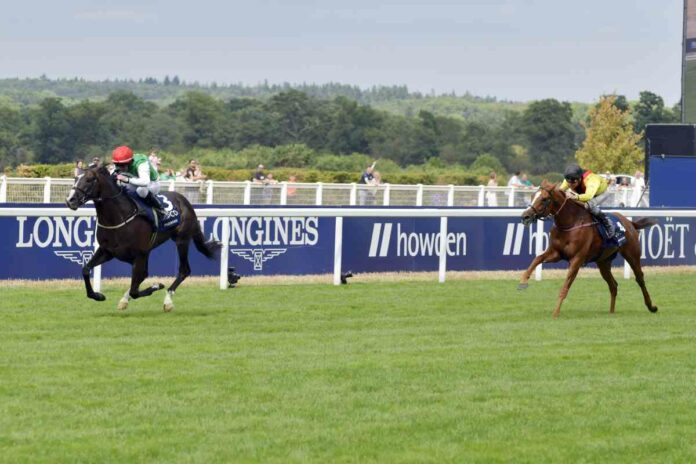 Pyledriver bei seinem Sieg im vergangenen Jahr in den King George VI Stakes gegen Torquator Tasso (Sorge)