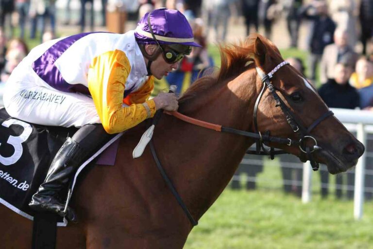 BBAG Online-Auktion ist gestartet – Bid Up am Freitag