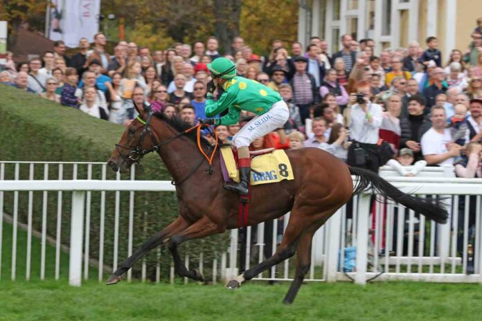 In Derby und Diana genannt: Quantanamera