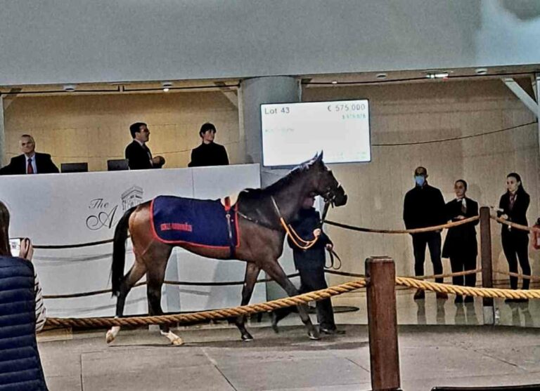 Schiergens Rocchigiani: 575.000 Euro bei Arc Sale