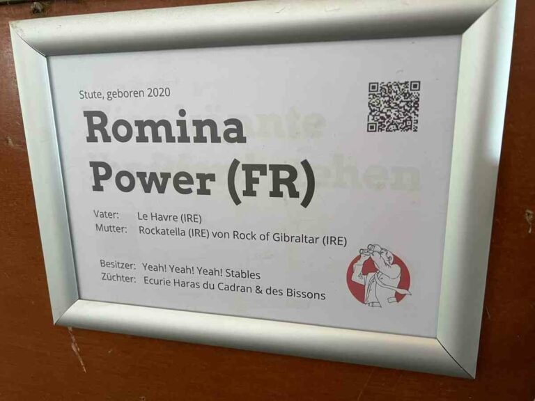 Wie Romina Power Romina Power möglich machte
