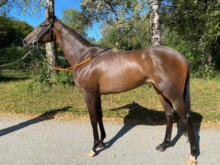 Romina Power Achte im Prix Rose de Mai