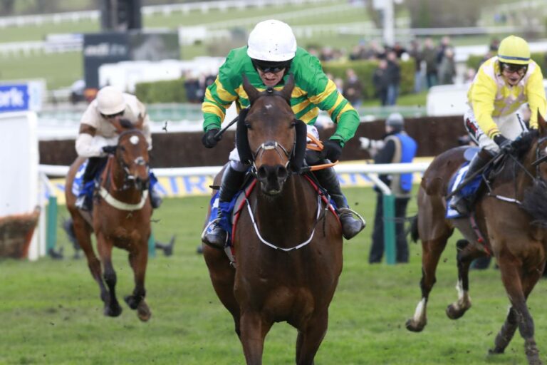 Racing P. tippt 34:1-Außenseiter Sire Du Berlais Racing P. tippt 34:1-Außenseiter Sire Du Berlais