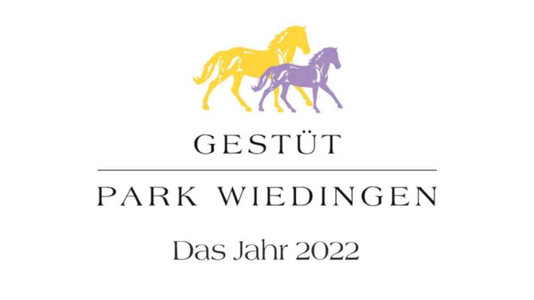 Gestüt Park Wiedingen Jahresrückblick im Video Gestüt Park Wiedingen Jahresrückblick im Video