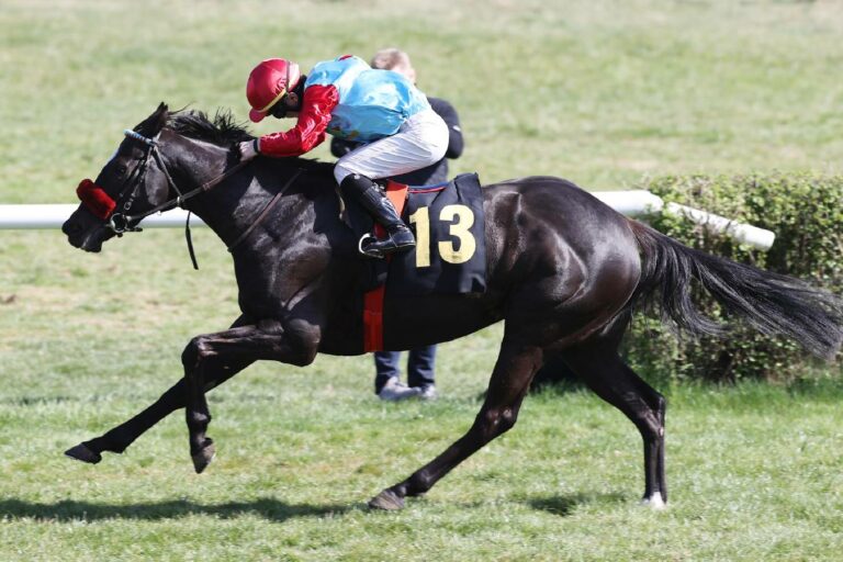 Sideshow Bob nach Jockey-Tausch für Fuhrmann