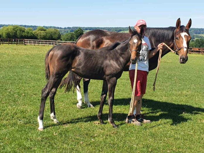 Son Macia mit Trust The Stars Foto: privat Son Macia mit Trust The Stars Foto: privat