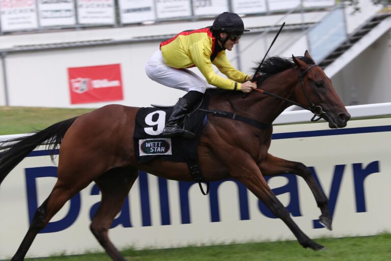 Elf Rennen am Sonntag in Hannover