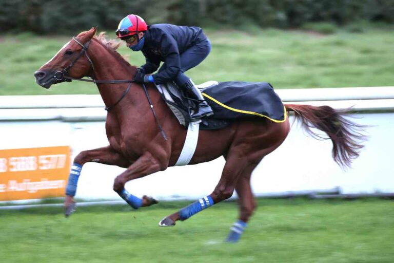 Tasso-Arbeit: „Trainer zufrieden, Jockey zufrieden“