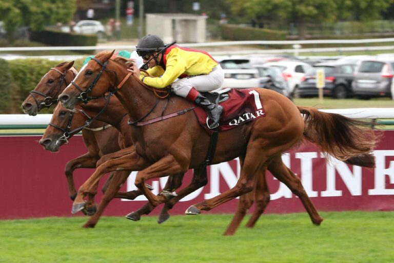 Arc-Held Torquator Tasso ist „Galopper des Jahres“