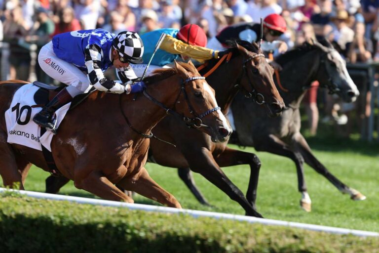 Australian Bloodstock hat US-Pläne mit Toskana Belle