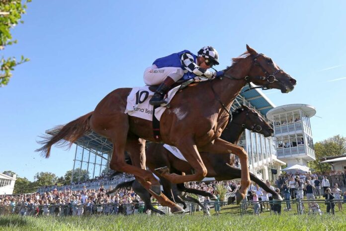 Toskana Belle Toskana Belle