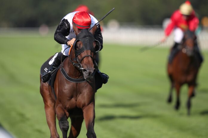 true_tedesco True Tedesco