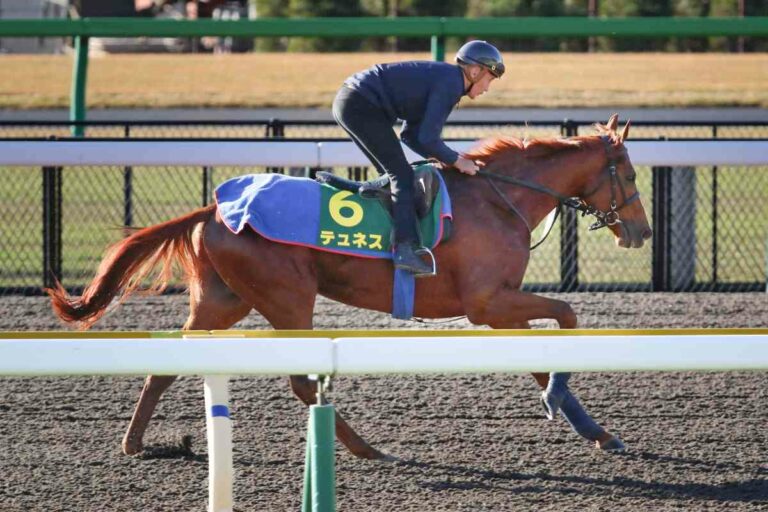 Tünnes auf dem Tokyo Racecourse Foto: Sorge