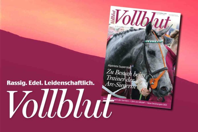 vollblut_271_gol
