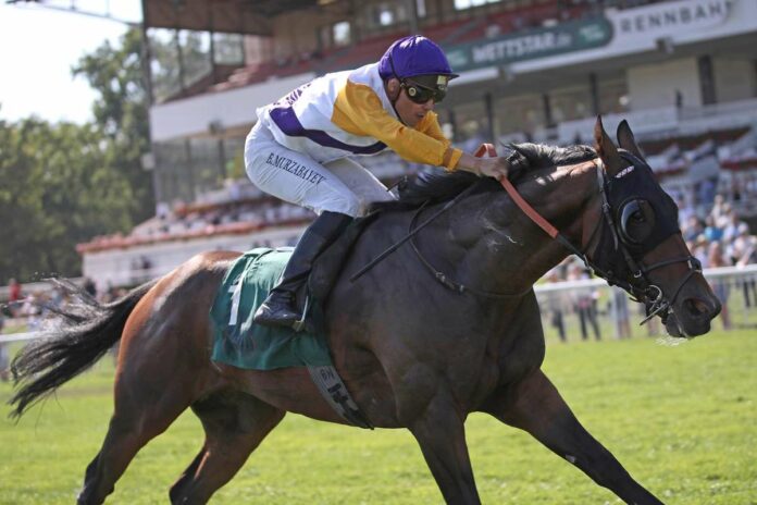 Western Soldier Western Soldier