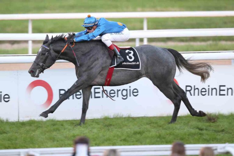 Röttgener Weston mit Royal Ascot-Auftritt?