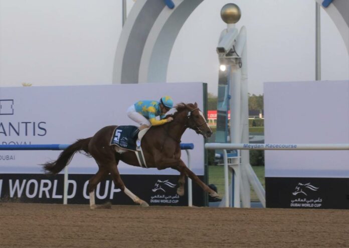 Derma Sotogake gewinnt das UAE Derby Derma Sotogake gewinnt das UAE Derby