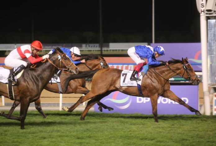 Lord North gewinnt den Dubai Turf