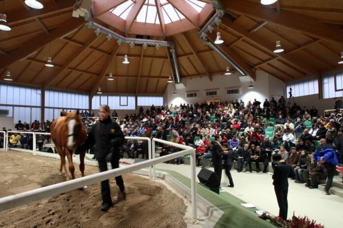 Blick in die Halle der BBAG